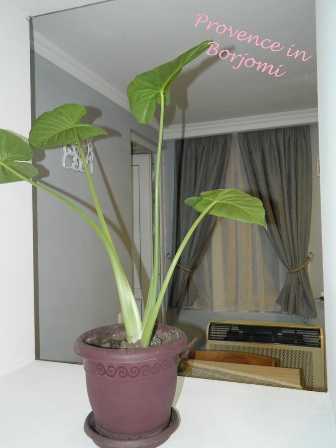 Nikas Guest House 博尔若米 外观 照片
